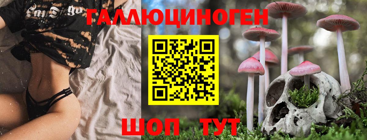 Благодарный  Галлюциногенные грибы прущие грибы  закладки  Вход с VPN 